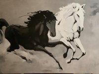 2 Cavalos (Branco e Negro)