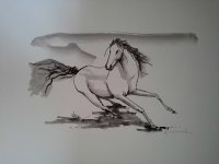 cavalos-4