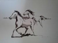 cavalos-8