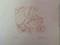 Tartaruga de Lambreta